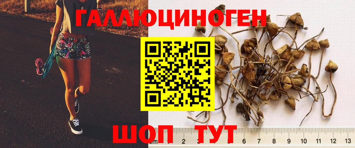 Усинск  Галлюциногенные грибы Psilocybine cubensis  Галлюциногенные грибы GOLDEN TEACHER  Вход с VPN 
